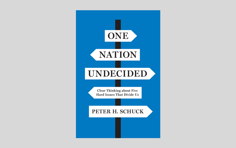 Robert Rosenkranz Recommended Reading On Nation Undecided Peter Schuck